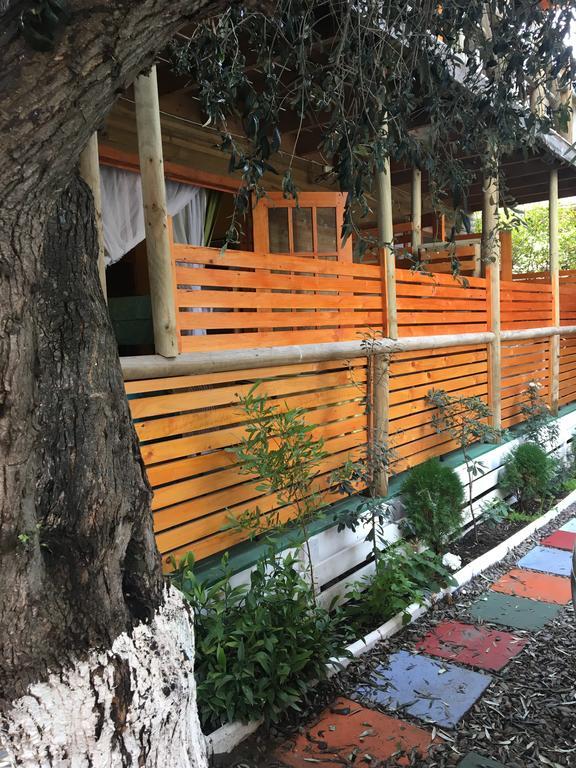 La Maison Des Fous Papudo Εξωτερικό φωτογραφία