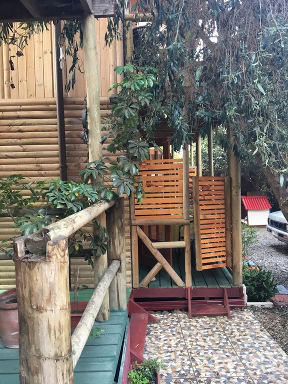 La Maison Des Fous Papudo Εξωτερικό φωτογραφία
